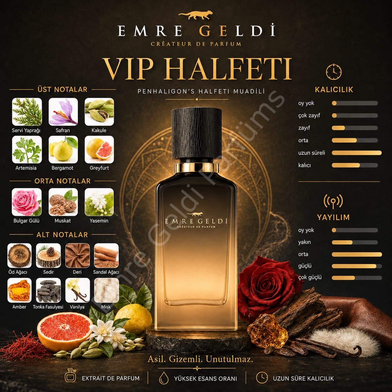 Emre Geldi VIP HALFETI