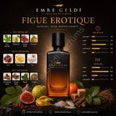 Emre Geldi FIGUE EROTIQUE(FİGURE)