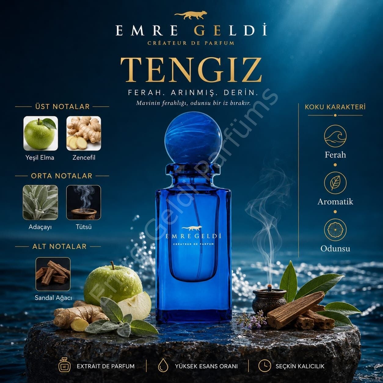 Emre Geldi VIP TENGIZ ( TENGIZ )