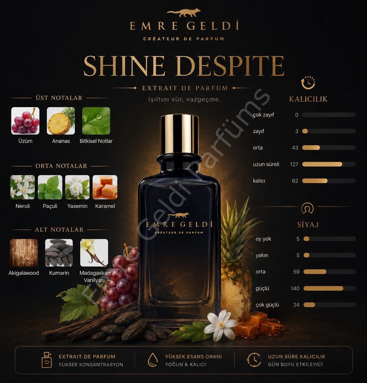 Emre Geldi SHINE DESPITE