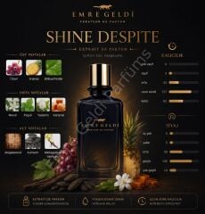 Emre Geldi SHINE DESPITE