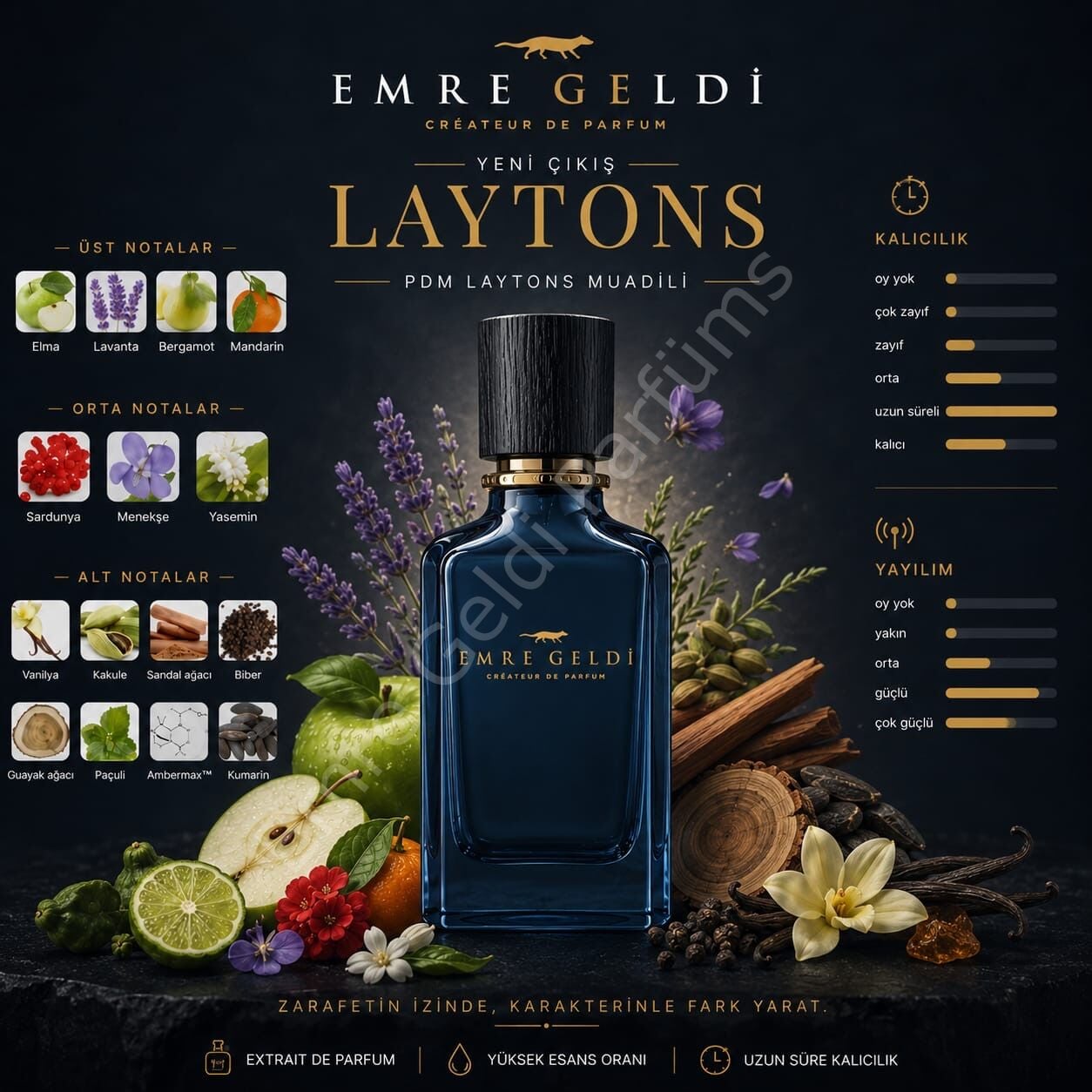 Emre Geldi LAYTONS